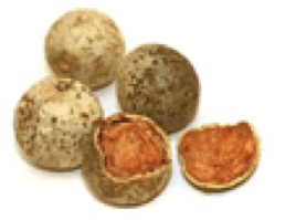 Wood apple / Horticulture