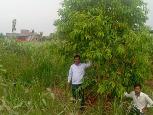 Yamun 2021